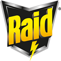 Raid