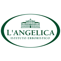 L`ANGELICA